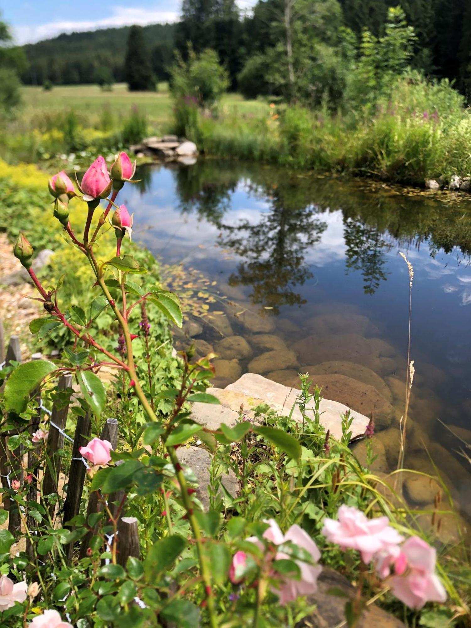 Natur- & Aktivoase Buchenberg  Dış mekan fotoğraf