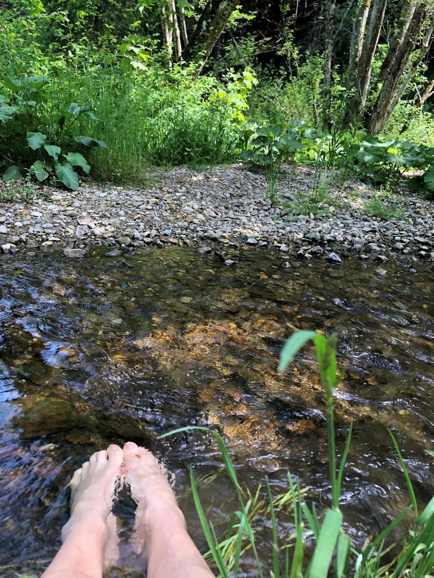Natur- & Aktivoase Buchenberg  Dış mekan fotoğraf